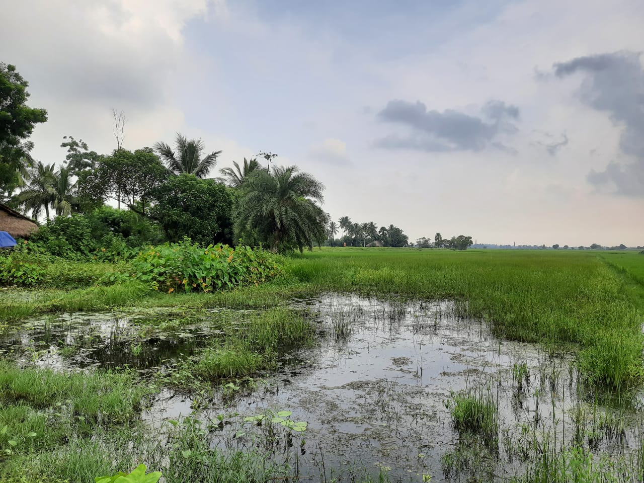 Best Real Estate Company in Kolkata